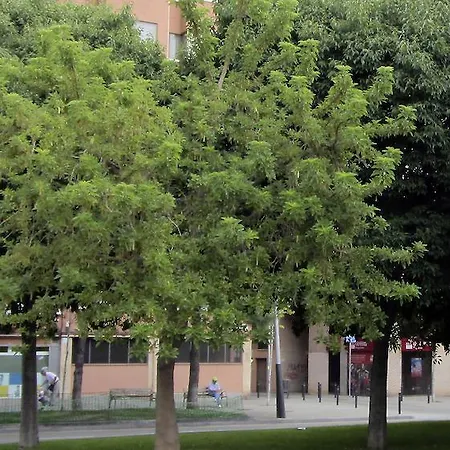 Apartment Cardenal Reig Barcelona
